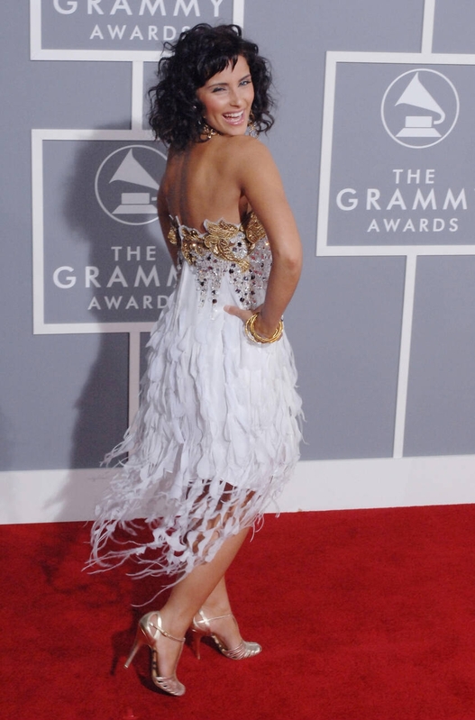 The 49th Annual GRAMMY Awards - 2007
