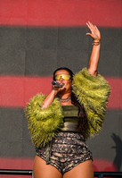 LovinFurtado-074.jpg
