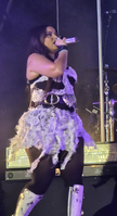 LovinFurtado-Victorious-0400.jpg
